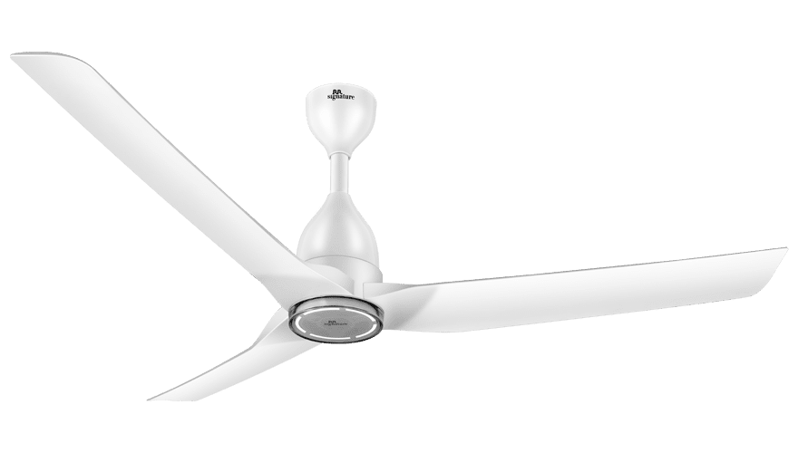 fans preview