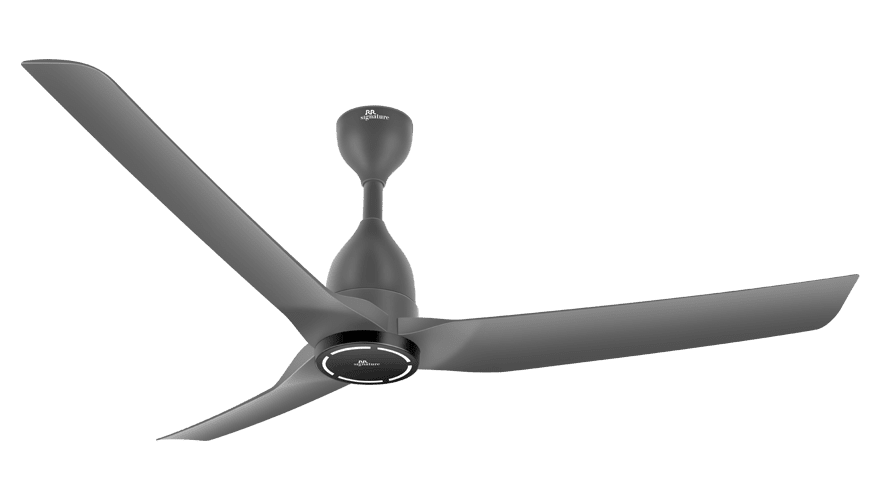 fans preview